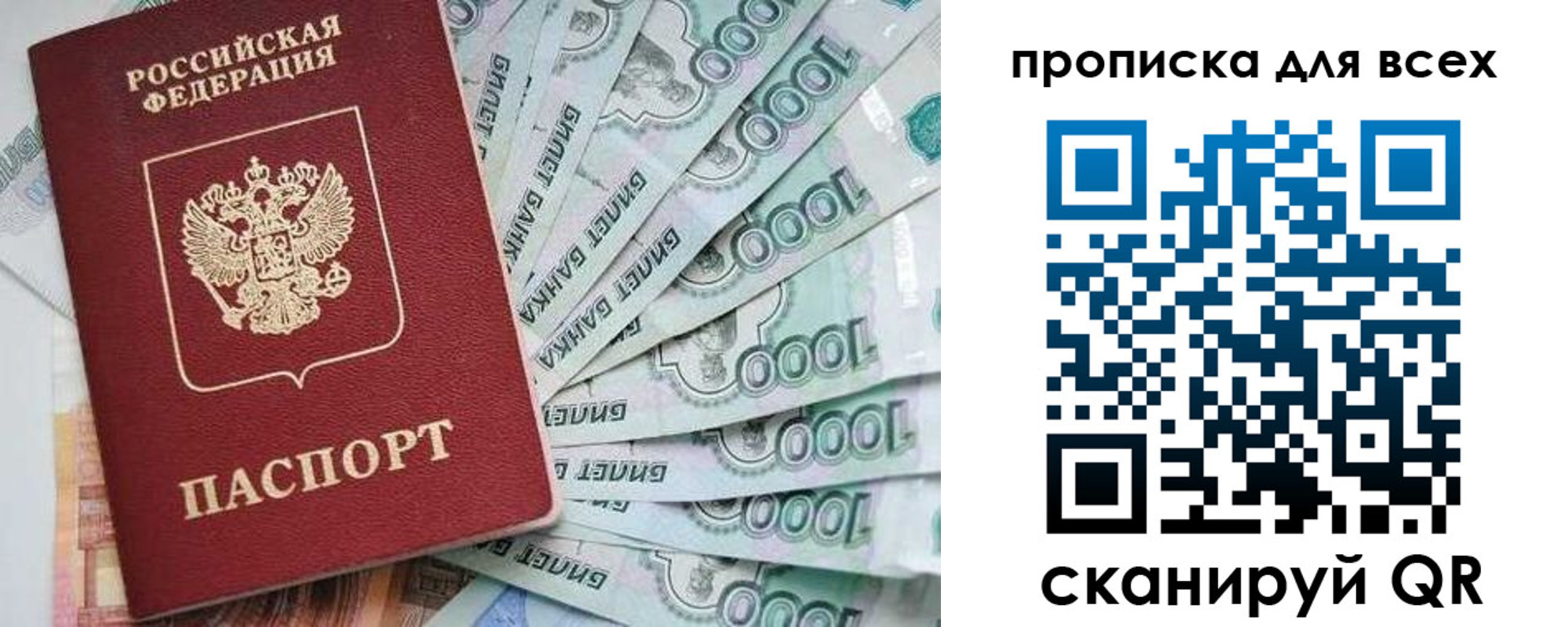 прописка гарантия в Ковдоре